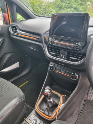 Fiesta MK8 Gear Shifter Gel