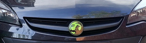 Vauxhall Gel Badges (Front & Back Only)