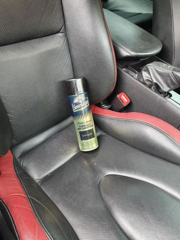 Car air sanitizer