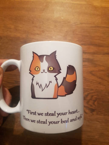 First we steal your heart cat mug